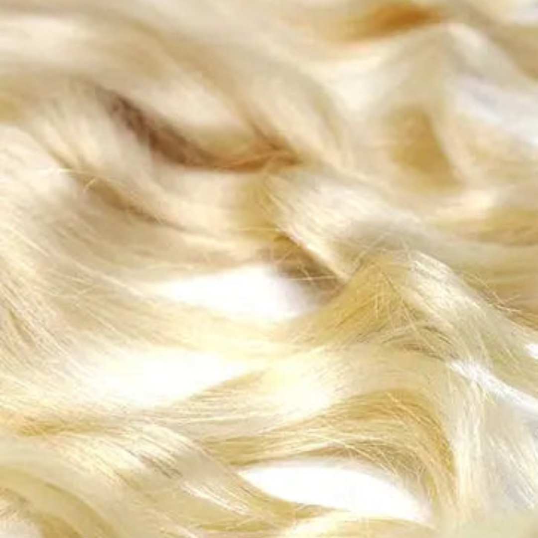 Mini collection Blondy - Frontal Brésilienne Zuri Avec Ondulations Naturelles