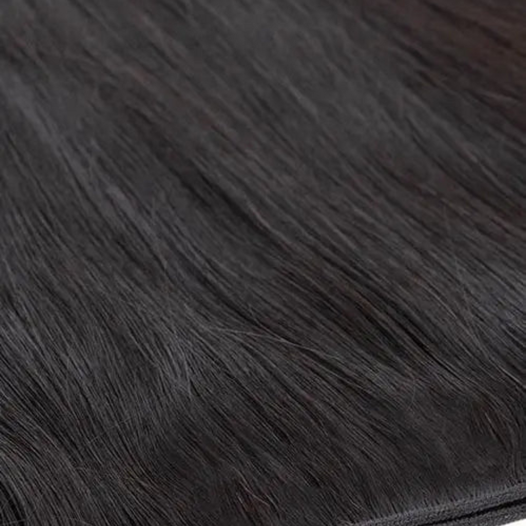 Collection Ébène - Glossy