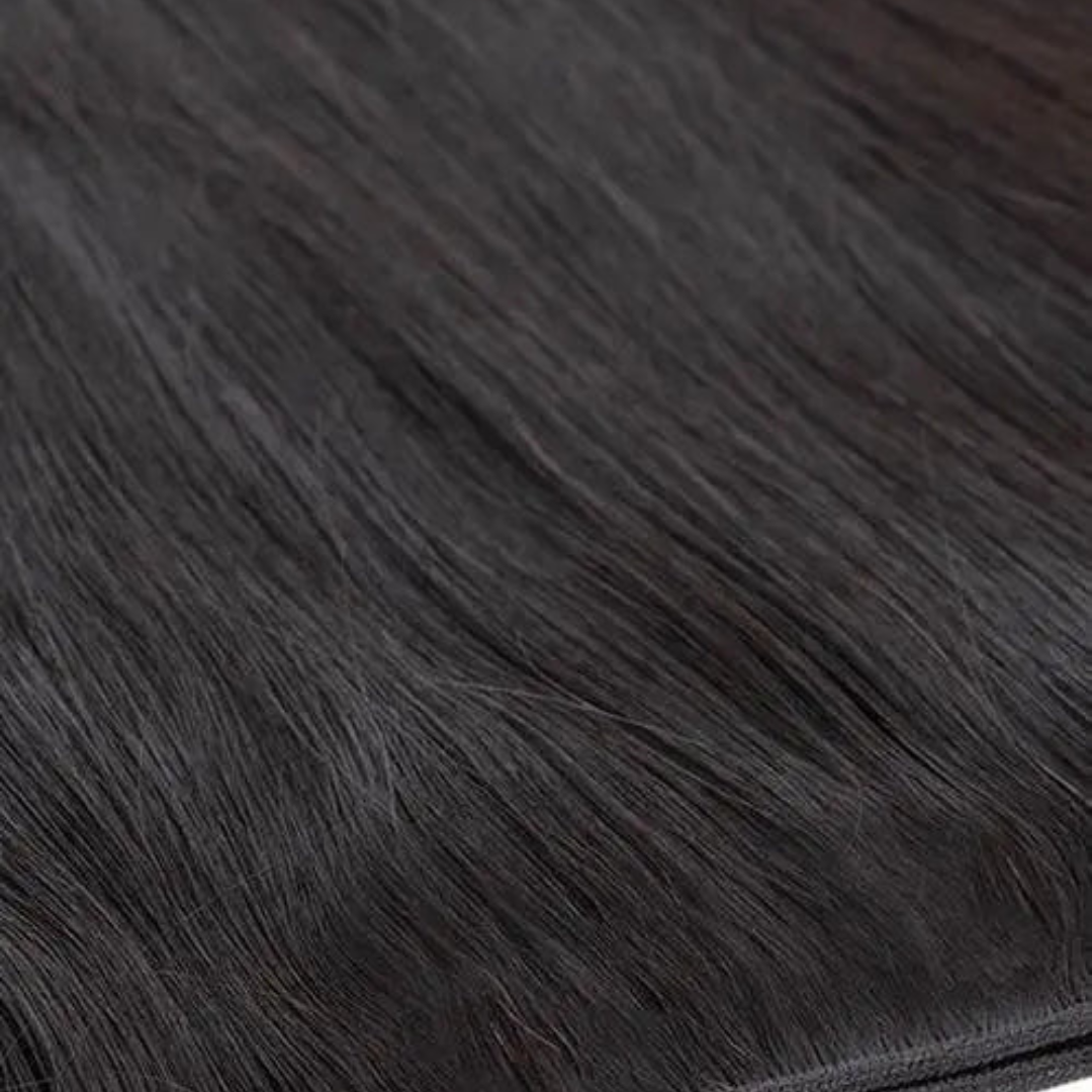 Collection Ébène - Glossy